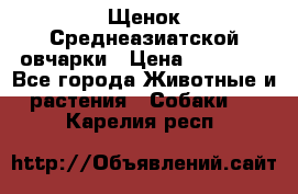 Щенок Среднеазиатской овчарки › Цена ­ 35 000 - Все города Животные и растения » Собаки   . Карелия респ.